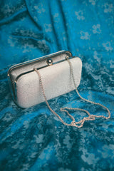 Shiny Silver Clutch